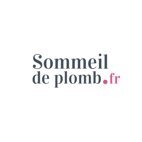 e386245113a6-Logo_Sommeil_de_plomb_vecto.png