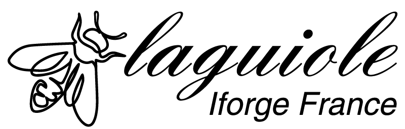 Logo 2025 simple Iforge France (1).png